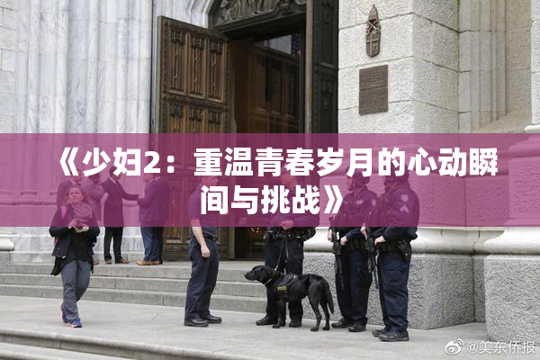 《少妇2：重温青春岁月的心动瞬间与挑战》