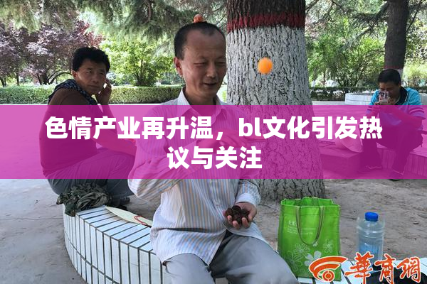 色情产业再升温，bl文化引发热议与关注