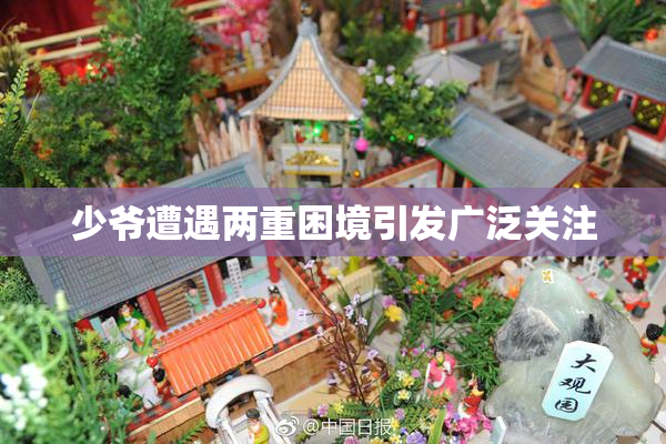 少爷遭遇两重困境引发广泛关注