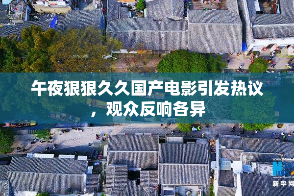 午夜狠狠久久国产电影引发热议，观众反响各异