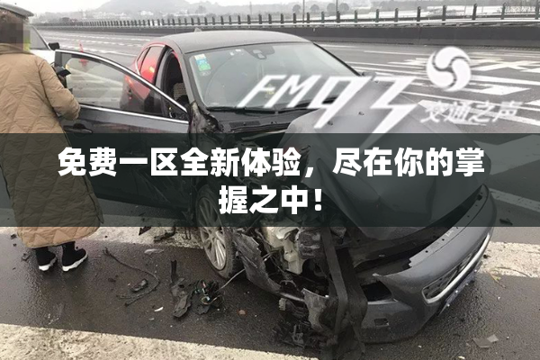 免费一区全新体验，尽在你的掌握之中！