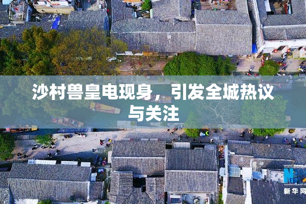 沙村兽皇电现身，引发全城热议与关注
