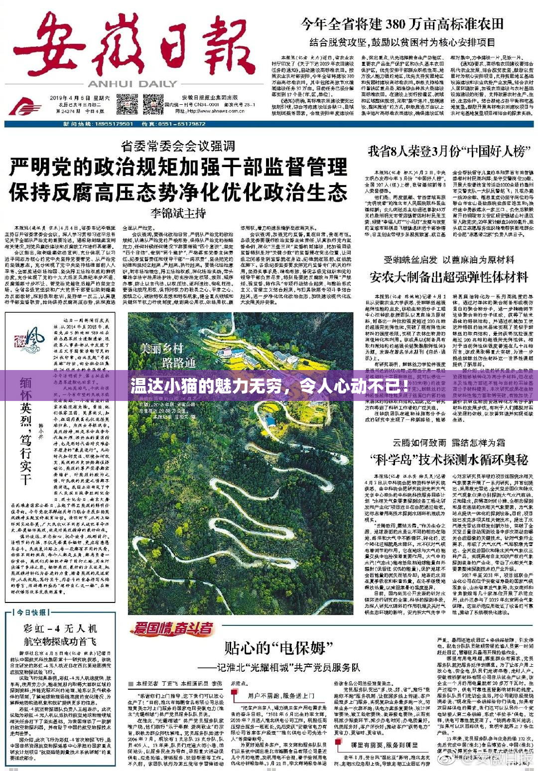 温达小猫的魅力无穷，令人心动不已！