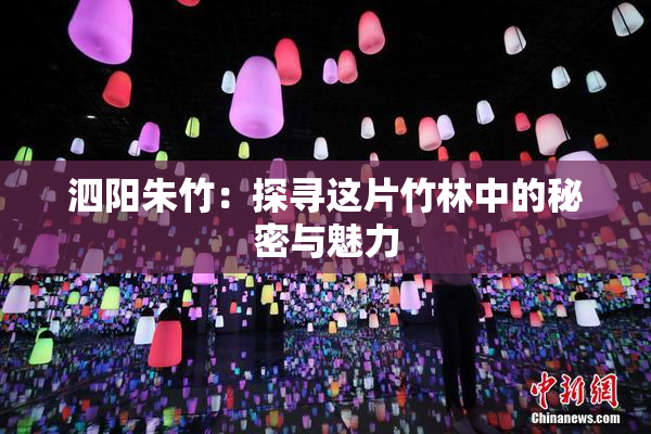泗阳朱竹：探寻这片竹林中的秘密与魅力