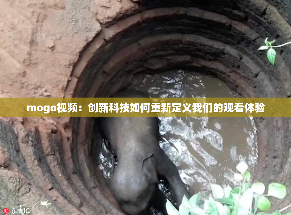 mogo视频：创新科技如何重新定义我们的观看体验