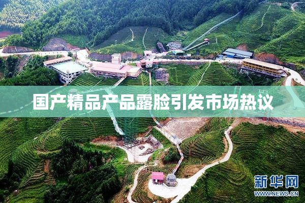 国产精品产品露脸引发市场热议