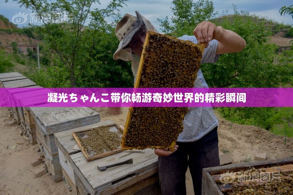 凝光ちゃんこ带你畅游奇妙世界的精彩瞬间