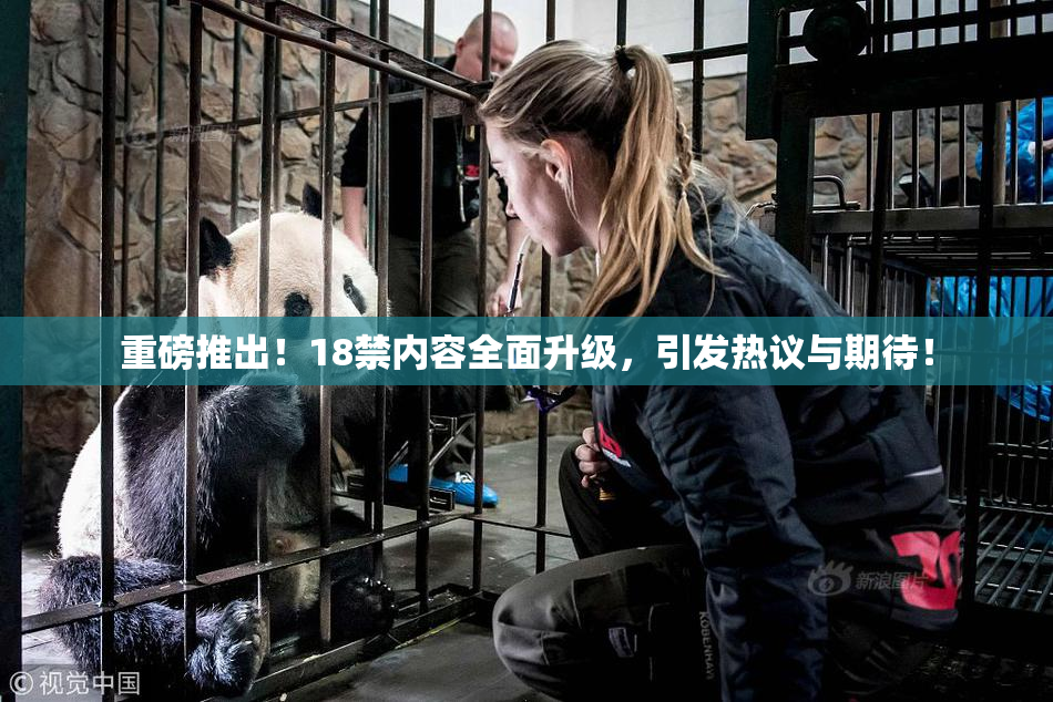 重磅推出！18禁内容全面升级，引发热议与期待！