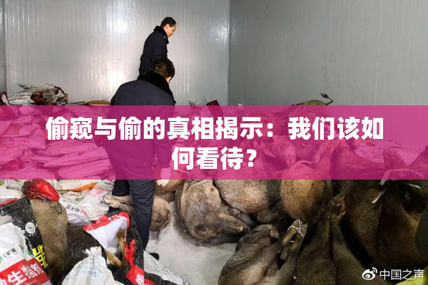 偷窥与偷的真相揭示：我们该如何看待？