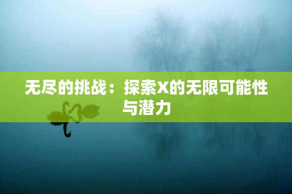 无尽的挑战：探索X的无限可能性与潜力