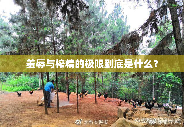 羞辱与榨精的极限到底是什么？