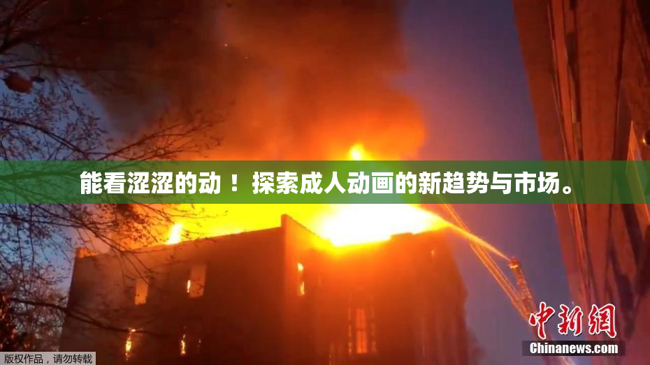 能看涩涩的动 ！探索成人动画的新趋势与市场。