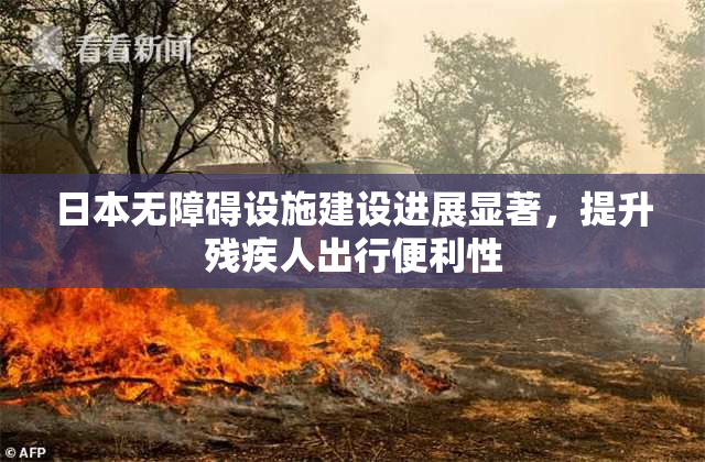 日本无障碍设施建设进展显著，提升残疾人出行便利性