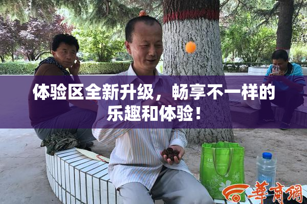 体验区全新升级，畅享不一样的乐趣和体验！