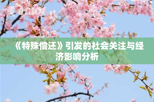 《特殊偿还》引发的社会关注与经济影响分析