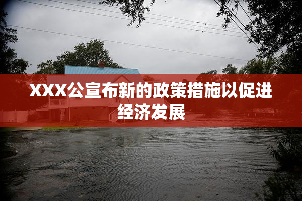 XXX公宣布新的政策措施以促进经济发展