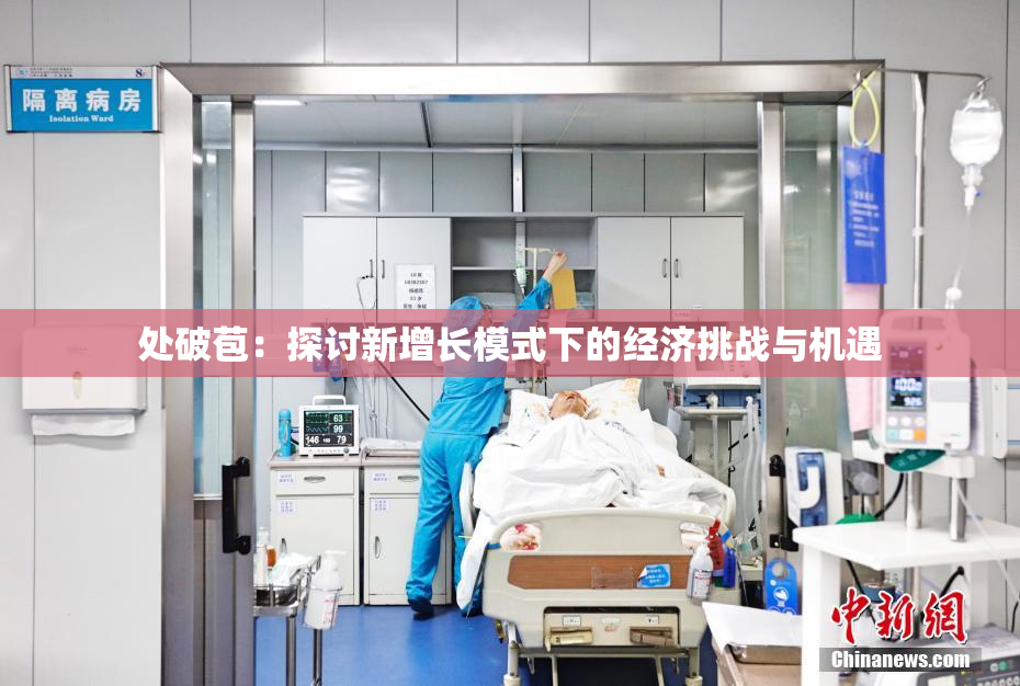 处破苞：探讨新增长模式下的经济挑战与机遇
