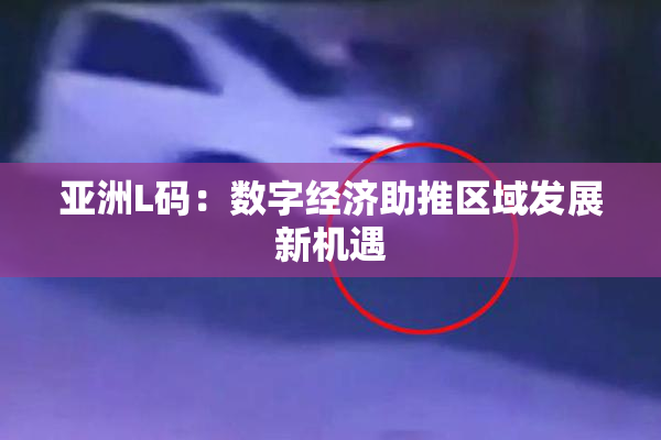 亚洲L码：数字经济助推区域发展新机遇