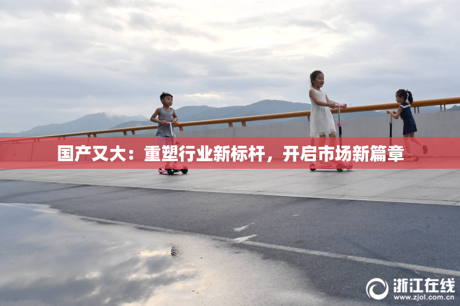 国产又大：重塑行业新标杆，开启市场新篇章