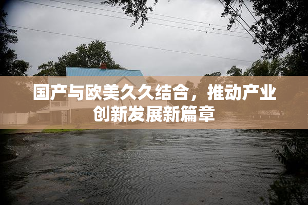 国产与欧美久久结合，推动产业创新发展新篇章