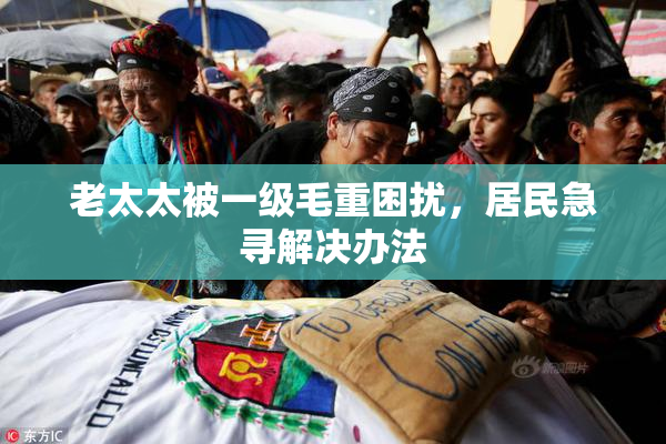 老太太被一级毛重困扰，居民急寻解决办法