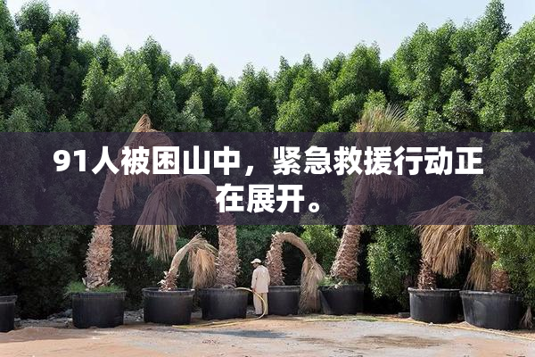 91人被困山中，紧急救援行动正在展开。