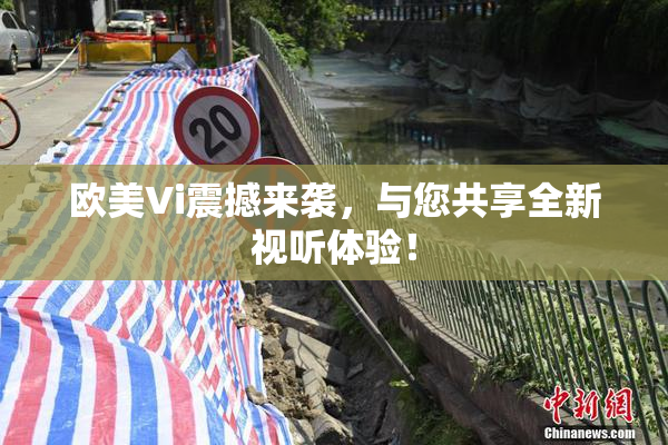 欧美Vi震撼来袭，与您共享全新视听体验！