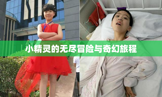 小精灵的无尽冒险与奇幻旅程
