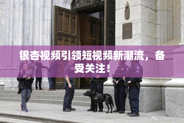 银杏视频引领短视频新潮流，备受关注！