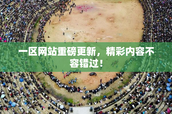 一区网站重磅更新，精彩内容不容错过！