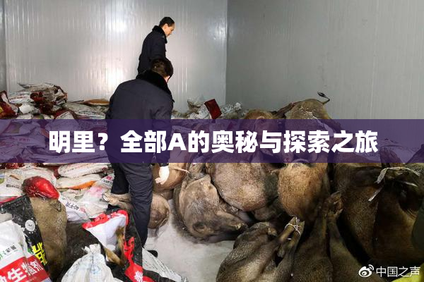 明里？全部A的奥秘与探索之旅