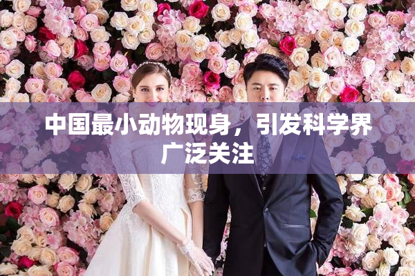 中国最小动物现身，引发科学界广泛关注