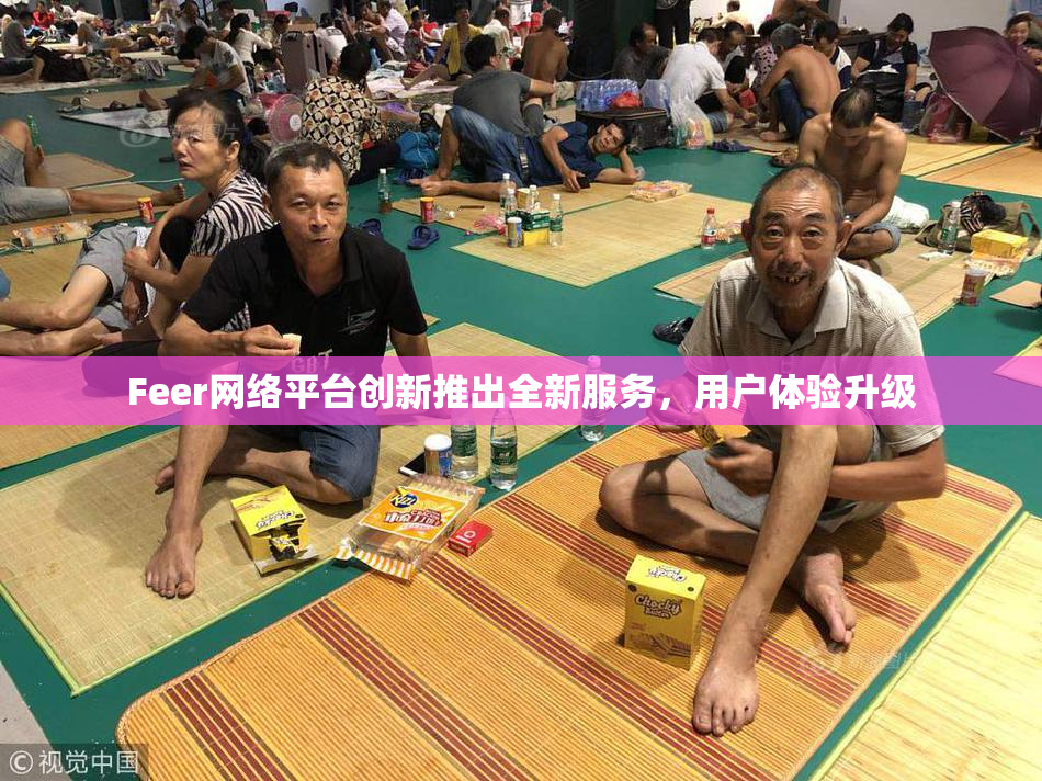 Feer网络平台创新推出全新服务，用户体验升级