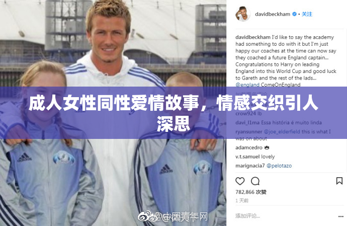 成人女性同性爱情故事，情感交织引人深思