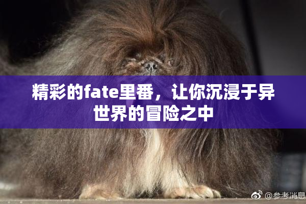 精彩的fate里番，让你沉浸于异世界的冒险之中