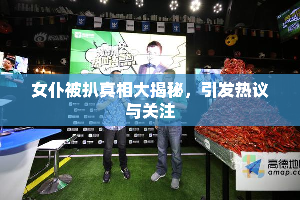 女仆被扒真相大揭秘，引发热议与关注