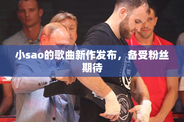 小sao的歌曲新作发布，备受粉丝期待