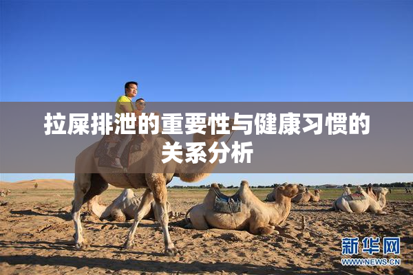 拉屎排泄的重要性与健康习惯的关系分析