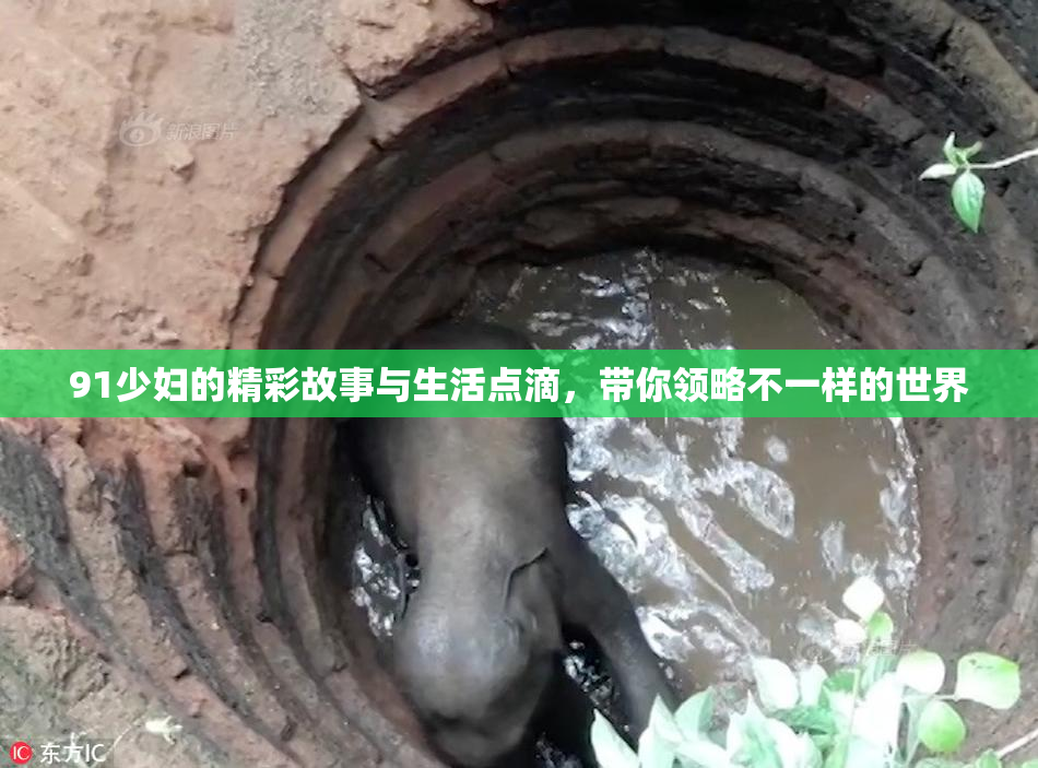 91少妇的精彩故事与生活点滴，带你领略不一样的世界