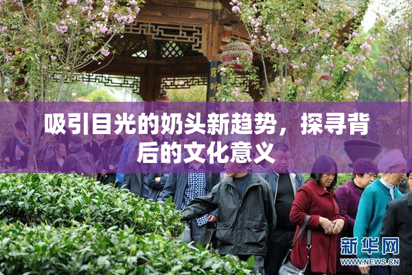 吸引目光的奶头新趋势，探寻背后的文化意义