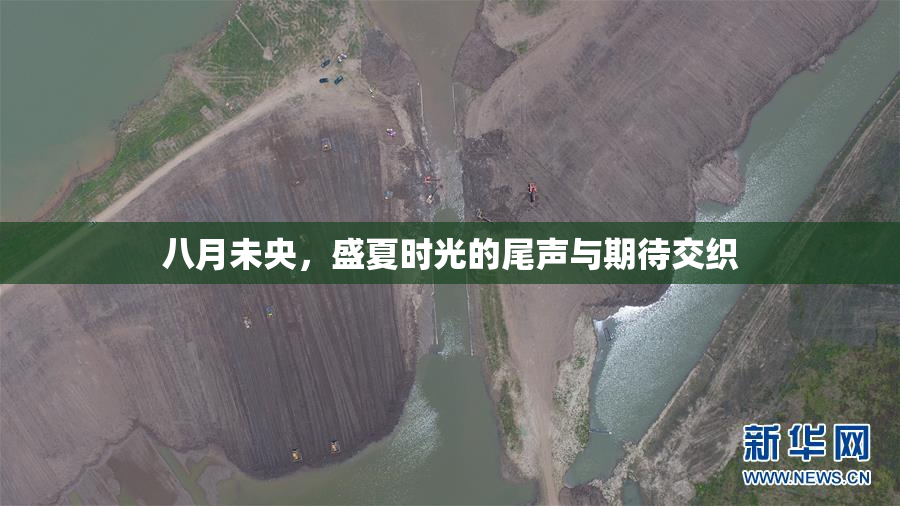 八月未央，盛夏时光的尾声与期待交织