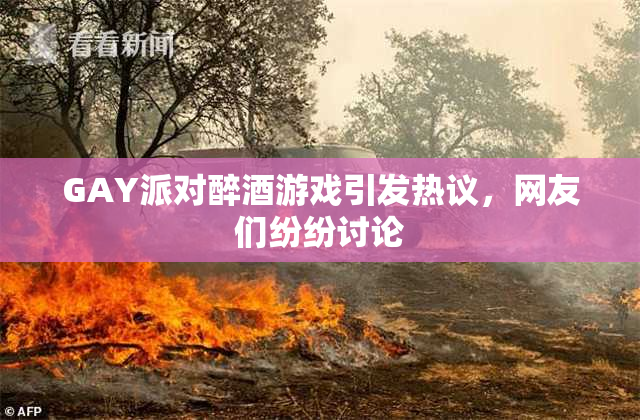 GAY派对醉酒游戏引发热议，网友们纷纷讨论