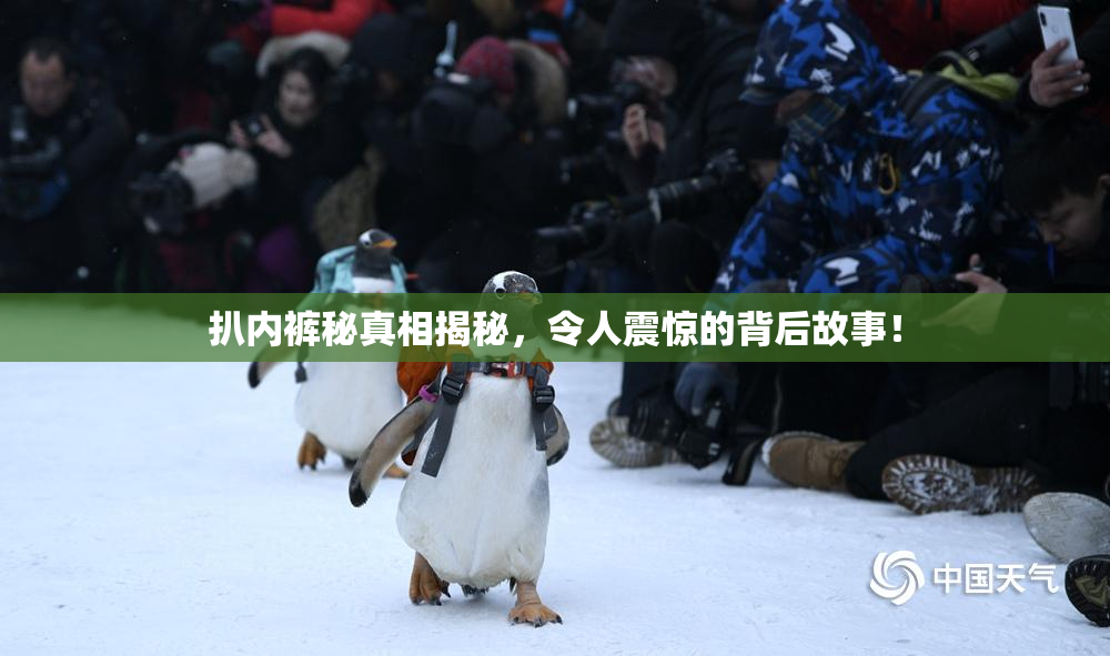 扒内裤秘真相揭秘，令人震惊的背后故事！