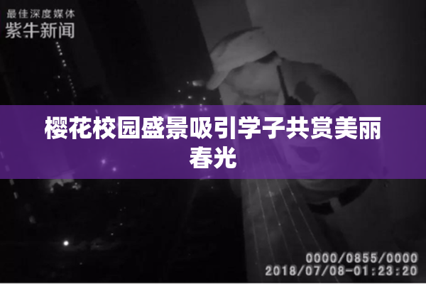 樱花校园盛景吸引学子共赏美丽春光