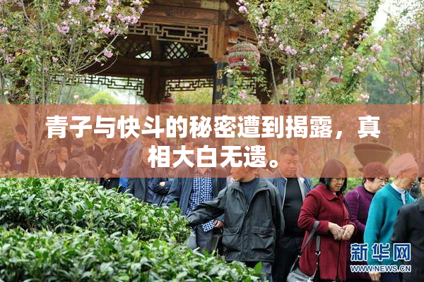 青子与快斗的秘密遭到揭露，真相大白无遗。