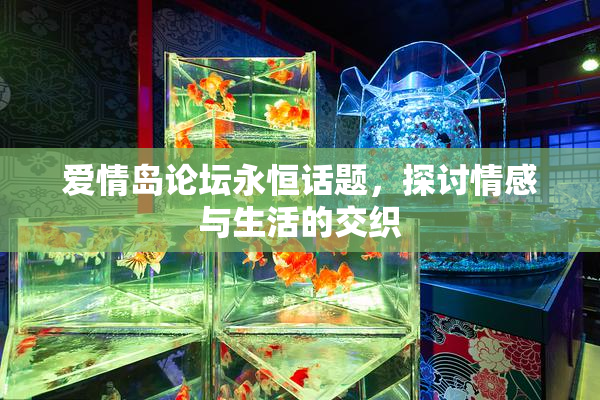 爱情岛论坛永恒话题，探讨情感与生活的交织