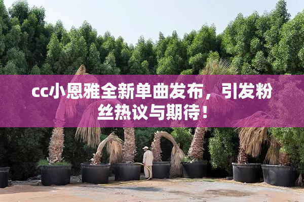 cc小恩雅全新单曲发布，引发粉丝热议与期待！