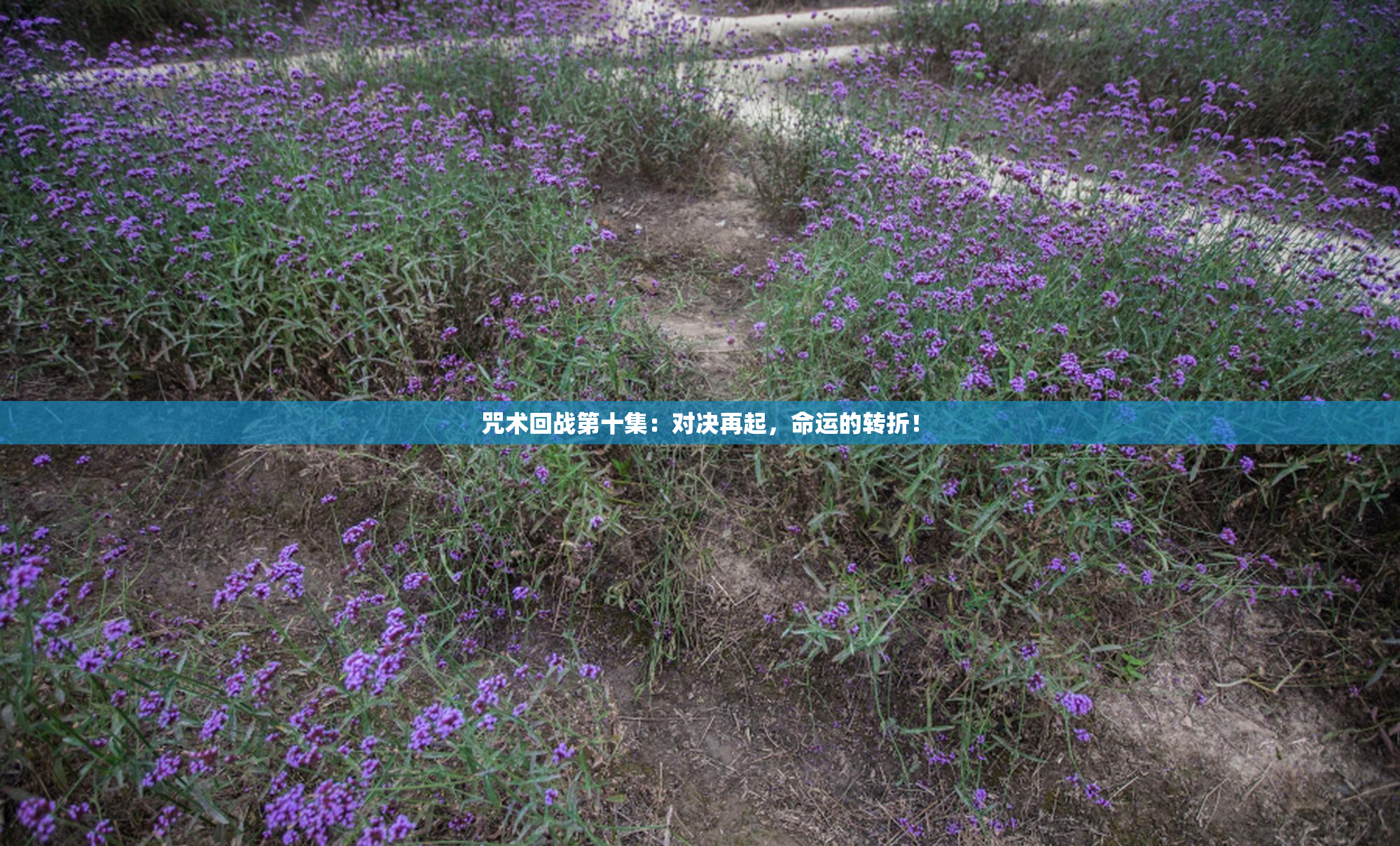 咒术回战第十集：对决再起，命运的转折！