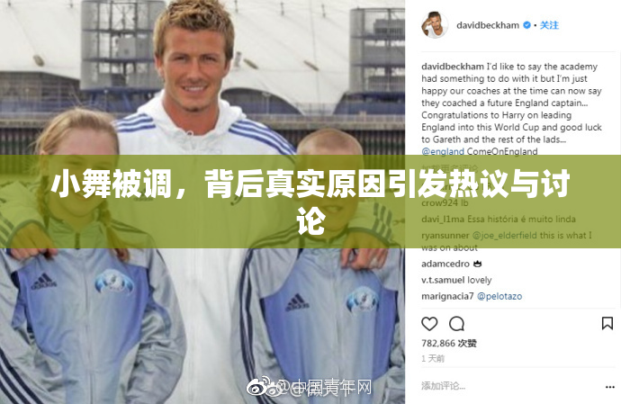 小舞被调，背后真实原因引发热议与讨论