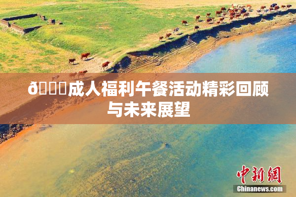 🔞成人福利午餐活动精彩回顾与未来展望